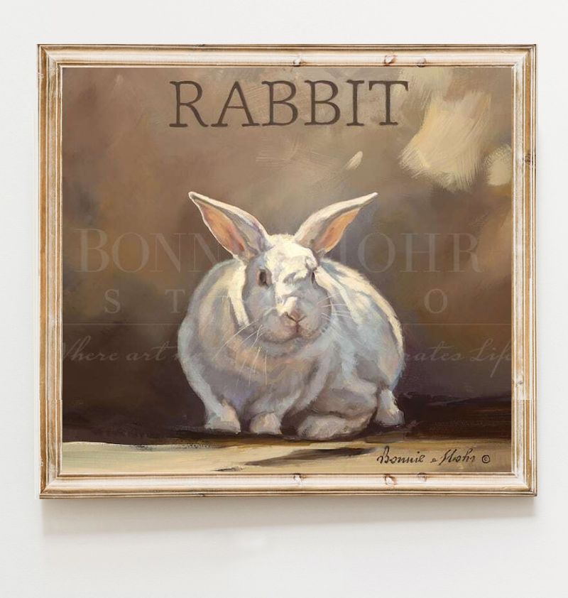 farm rabbit